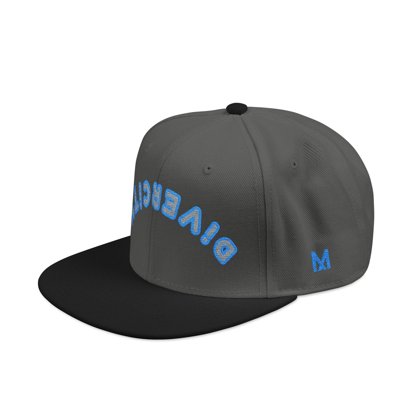 DiVERCiTY Embroidered Snapback