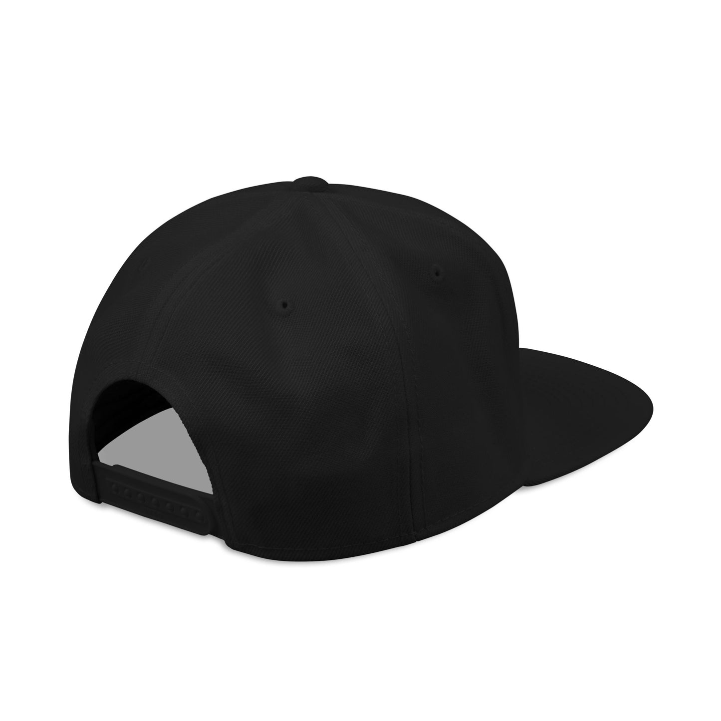DiVERCiTY Embroidered Snapback