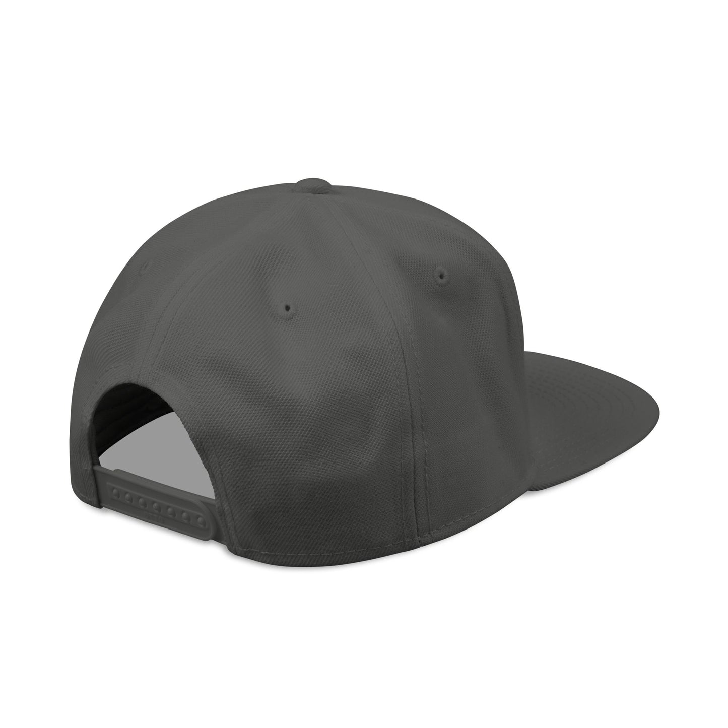 DiVERCiTY Embroidered Snapback